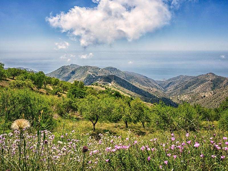 Landschaft in Andalusien