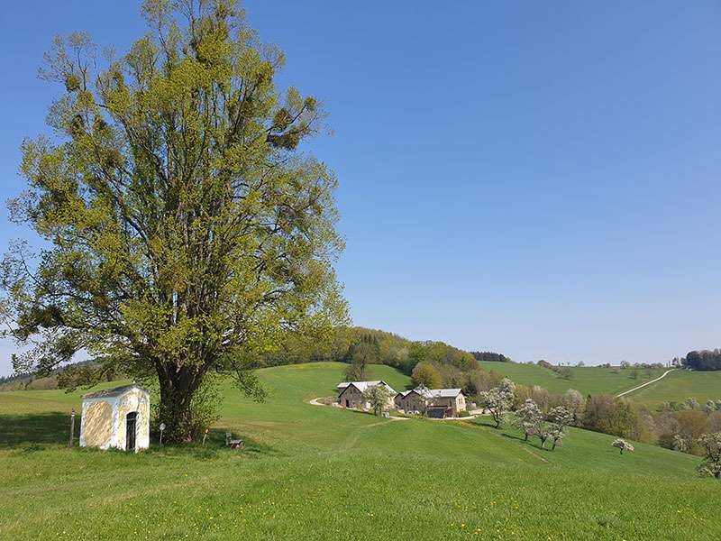 Refugium Hochstrass Umgebung