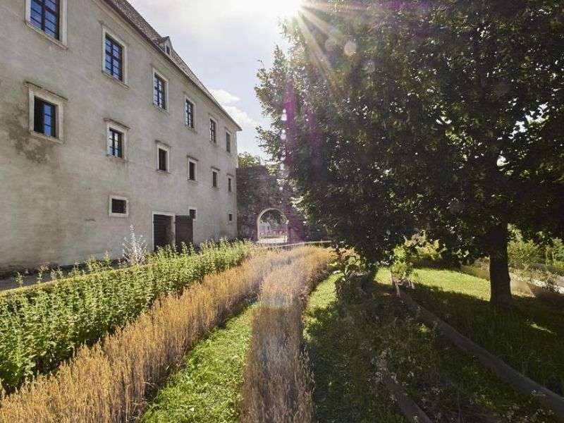 Blick auf die Kräuterspirale