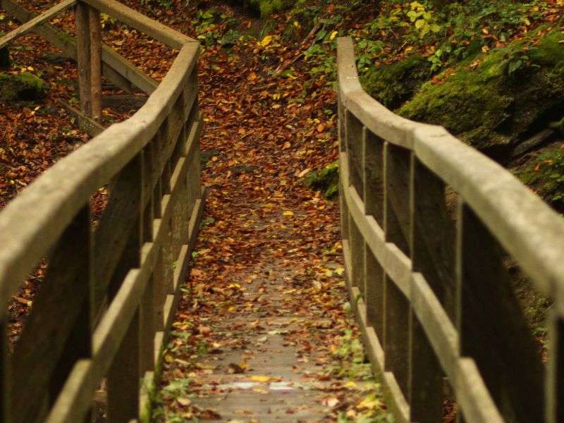 Brücke im Herbst in Pernegg (c) Natascha Zickbauer