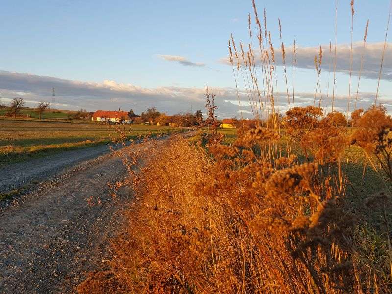 Felder rund ums Kloster Pernegg (c) Evelyne Egger