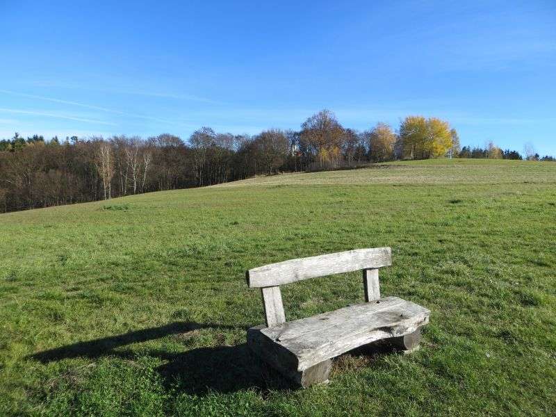 Sitzbank im Frühjahr