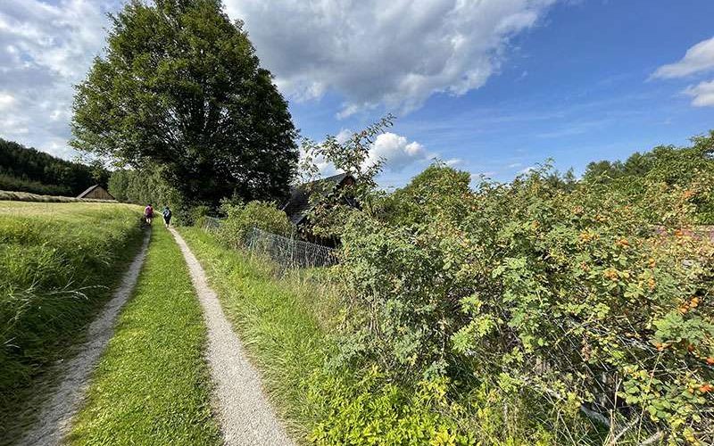 Wandern Bad Grosspertholz