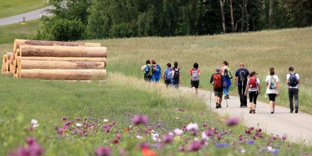 Fastenwandern mit Mohnblumenwiese_c_Krobath_Barbara