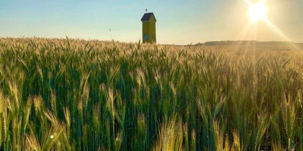 Marterl_mit_Sonnenaufgang_c_Fröhlich_Thomas