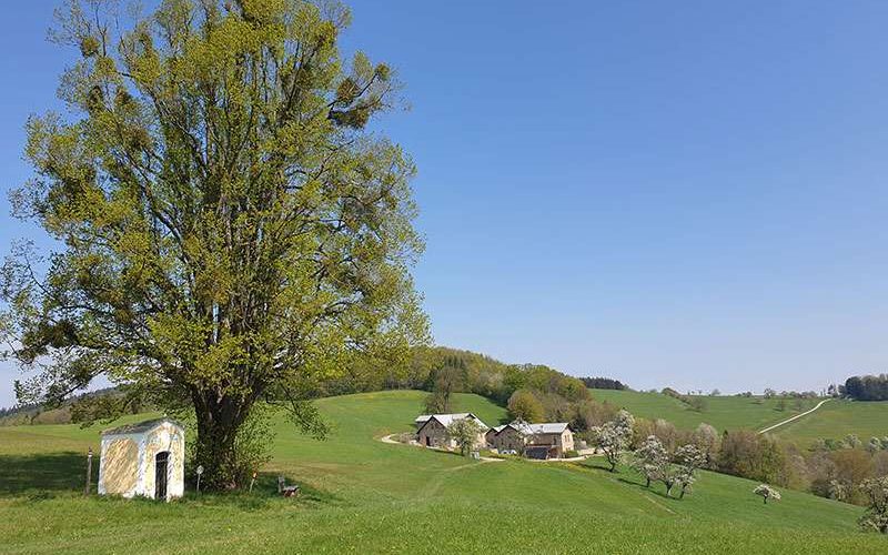 Refugium Hochstrass Umgebung
